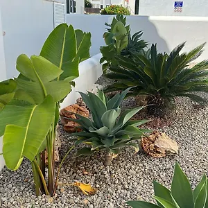 Pinuelo Es Mercadal